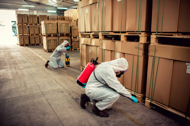 Best Mosquito Control Services  in Orlovista, FL