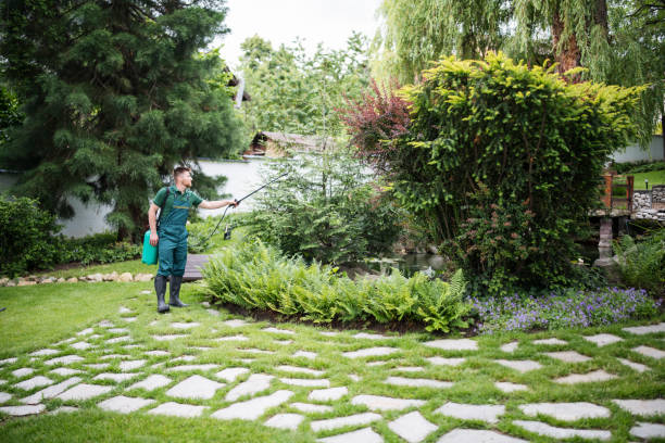 Best Pest Control Near Me  in Orlovista, FL