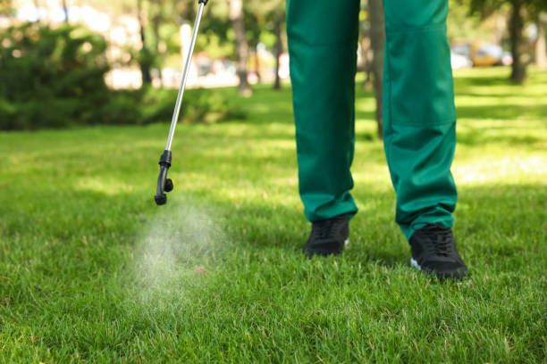 Wildlife Control Services in Orlovista, FL