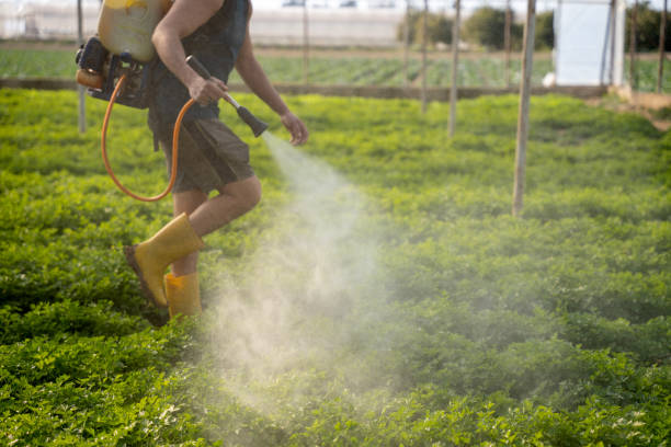 Best Affordable Pest Control Services  in Orlovista, FL