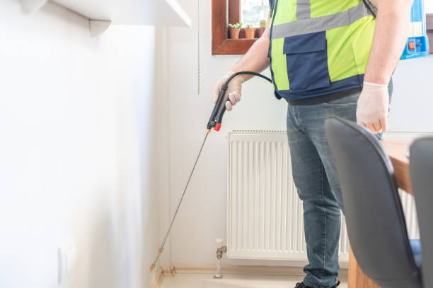 Best Mosquito Control Services  in Orlovista, FL