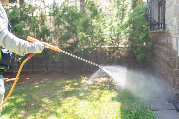 Best Termite Control Services  in Orlovista, FL