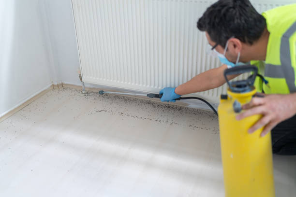 Best Bed Bug Extermination  in Orlovista, FL