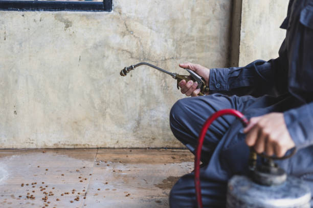 Best Emergency Pest Control  in Orlovista, FL