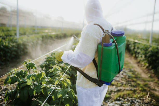 Best Best Pest Control Companies  in Orlovista, FL